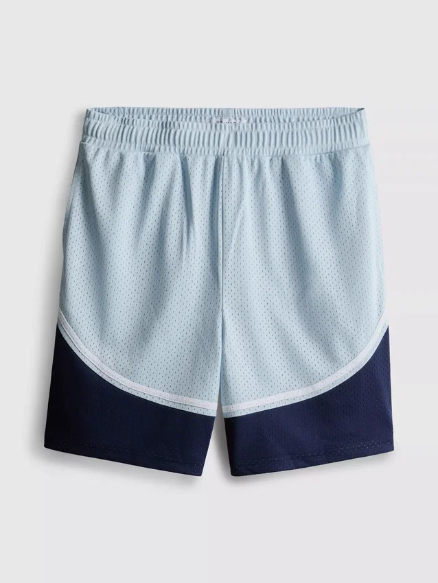 Mesh gym shorts