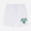 Nba boston celtics drawstring shorts