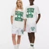 Nba boston celtics t-shirt
