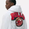 Nba chicago bulls logo hoodie