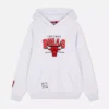 Nba chicago bulls logo hoodie