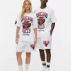 Nba chicago bulls t-shirt