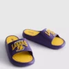 Nba los angeles lakers pool slides