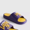 Nba los angeles lakers pool slides