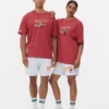 Nba miami heat t-shirt