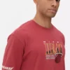 Nba miami heat t-shirt