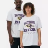 Nfl baltimore ravens logo t-shirt