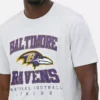 Nfl baltimore ravens logo t-shirt