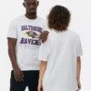 Nfl baltimore ravens logo t-shirt