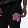 Nfl buffalo bills sweatpants
