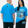 Nfl carolina panthers graphic t-shirt