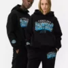 Nfl carolina panthers logo hoodie