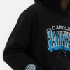 Nfl carolina panthers logo hoodie