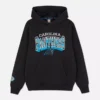 Nfl carolina panthers logo hoodie