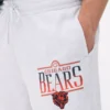 Nfl chicago bears