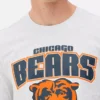 Nfl chicago bears logo t-shirt