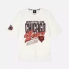 Nfl chicago bears logo t-shirt
