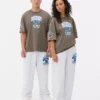Nfl detroit lions logo t-shirt