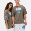 Nfl detroit lions logo t-shirt