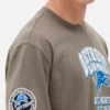 Nfl detroit lions logo t-shirt