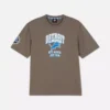 Nfl detroit lions logo t-shirt
