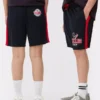 Nfl houston texans drawstring shorts