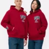 Nfl houston texans team hoodie