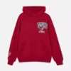 Nfl houston texans team hoodie
