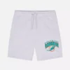Nfl miami dolphins logo shorts