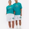 Nfl miami dolphins logo t-shirt