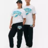 Nfl miami dolphins logo t-shirt