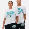 Nfl miami dolphins logo t-shirt