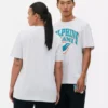 Nfl miami dolphins logo t-shirt