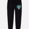 Nfl philadelphia eagles joggers