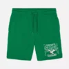 Nfl philadelphia eagles logo shorts
