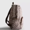 Packaway backpack
