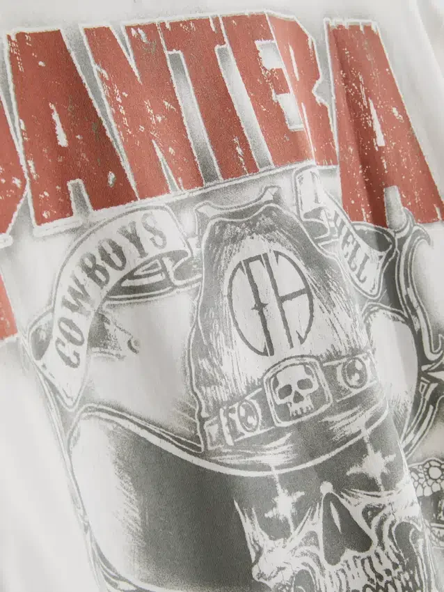 Pantera graphic t-shirt