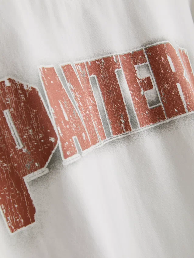Pantera graphic t-shirt