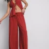 Paula echevarría wide leg sparkle pants