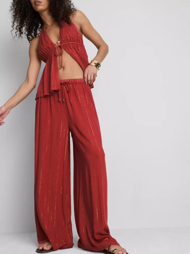 Paula echevarría wide leg sparkle pants