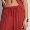 Paula echevarría wide leg sparkle pants
