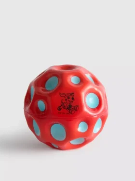 Paw patrol ball