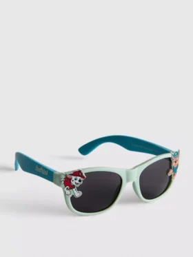 Paw patrol character sunglasses