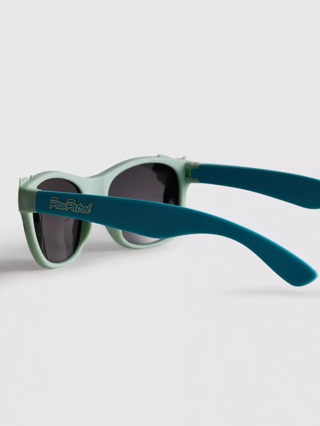 Paw patrol character sunglasses