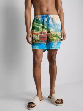Scenic swim shorts