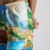 Scenic swim shorts