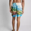 Scenic swim shorts