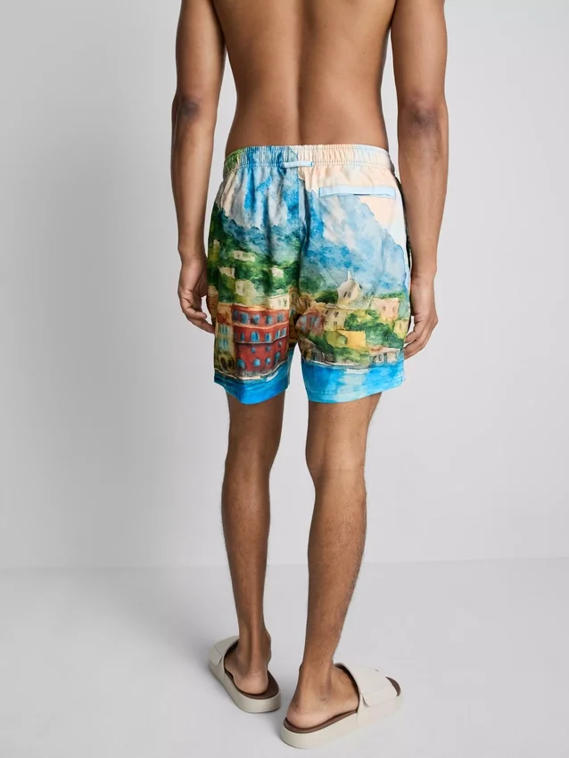 Scenic swim shorts