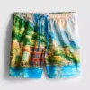 Scenic swim shorts