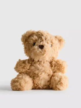 Small teddy bear plush toy